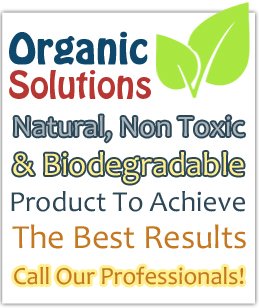 Green Cleaning Solution